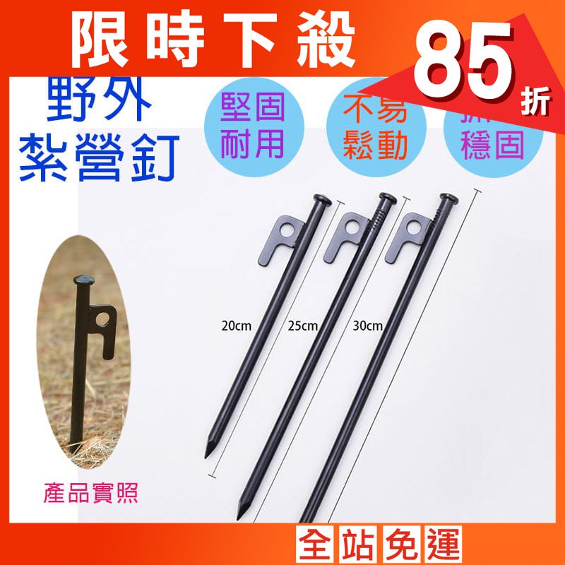 【高品質】30CM露營釘5支(附收納包) 不鏽鋼